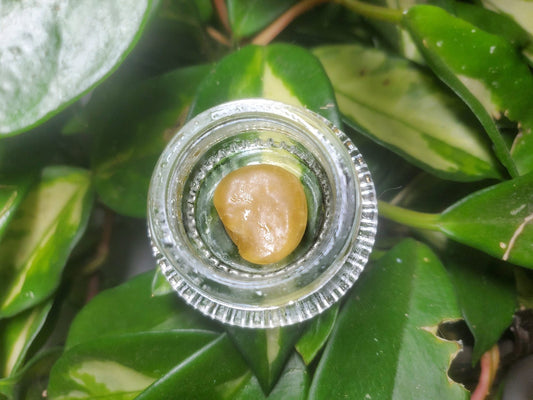 Fresh Pressed Hash Rosin
