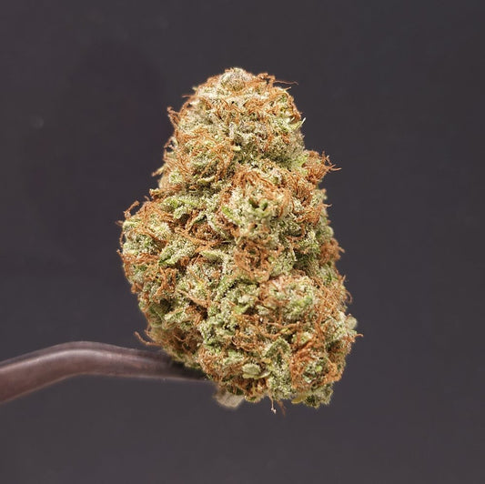 Apple Blossom (out of stock)