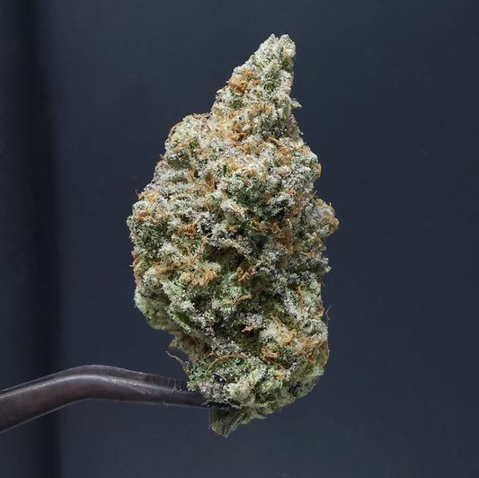 Buddha Breath (Out of Stock)